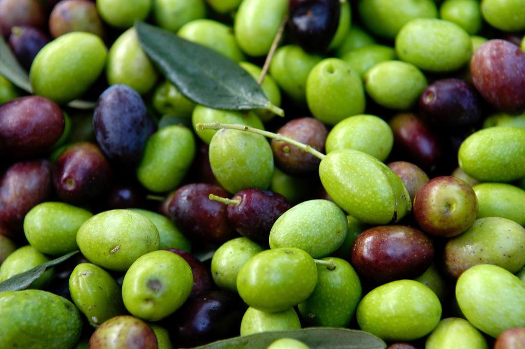 Alojamento de Acomodação e Pequeno-almoço Baciami Ancora